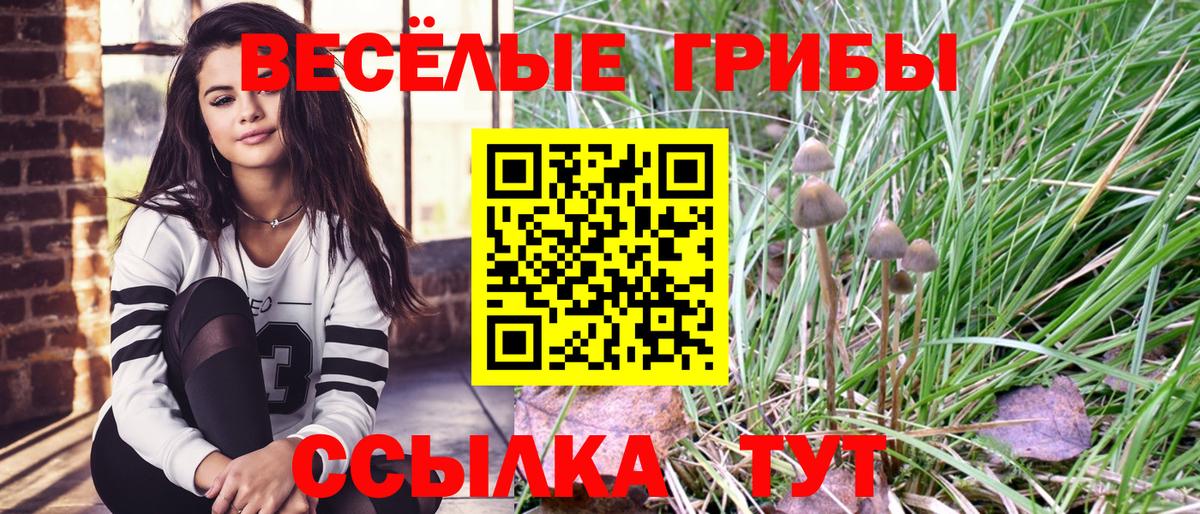 Куйбышев  Галлюциногенные грибы Psilocybine cubensis  Вход с VPN 