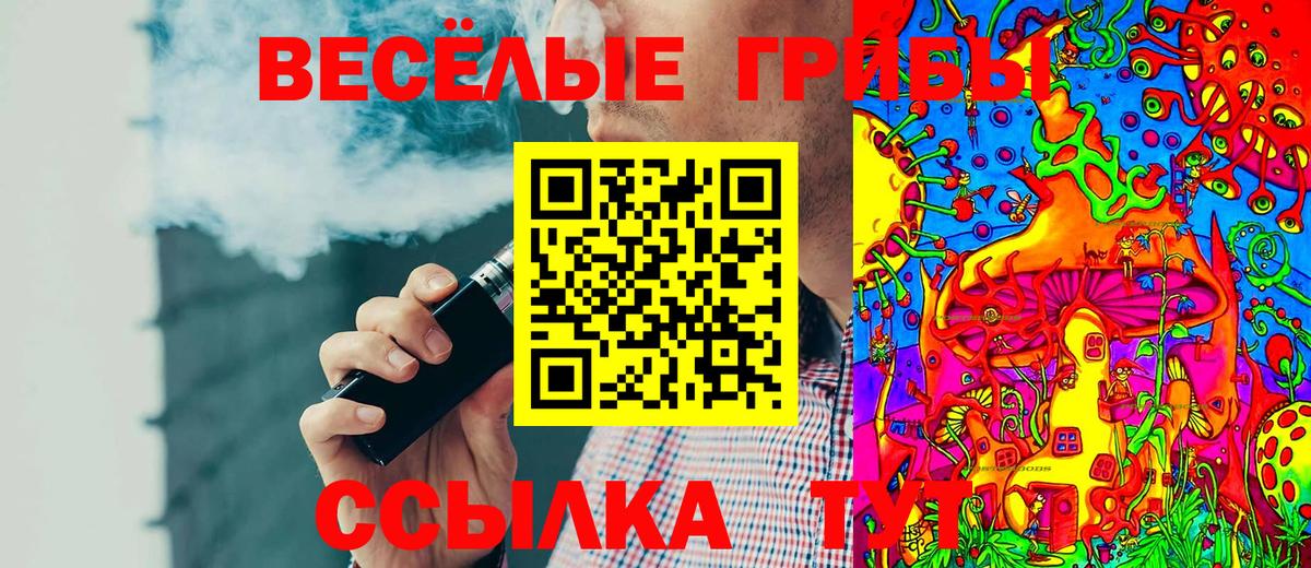 Галлюциногенные грибы Magic Shrooms Куйбышев
